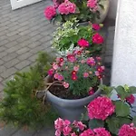 Landrynka לינה וארוחת בוקר 4*