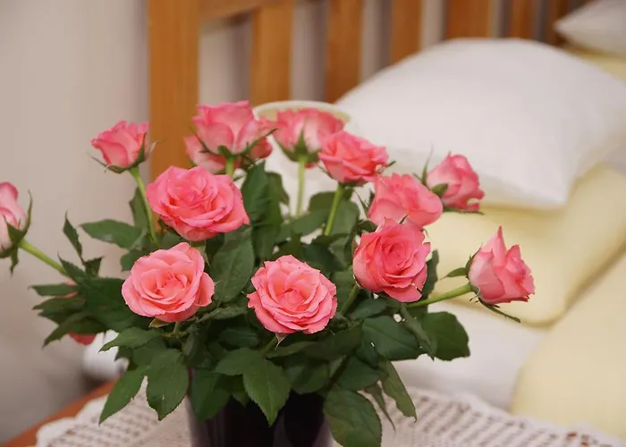 Landrynka Nocleg ze śniadaniem Darłówko